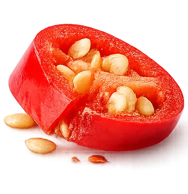 Chilli Piece