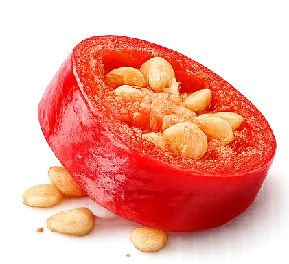 Chilli Piece